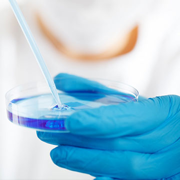 規范、品控管理